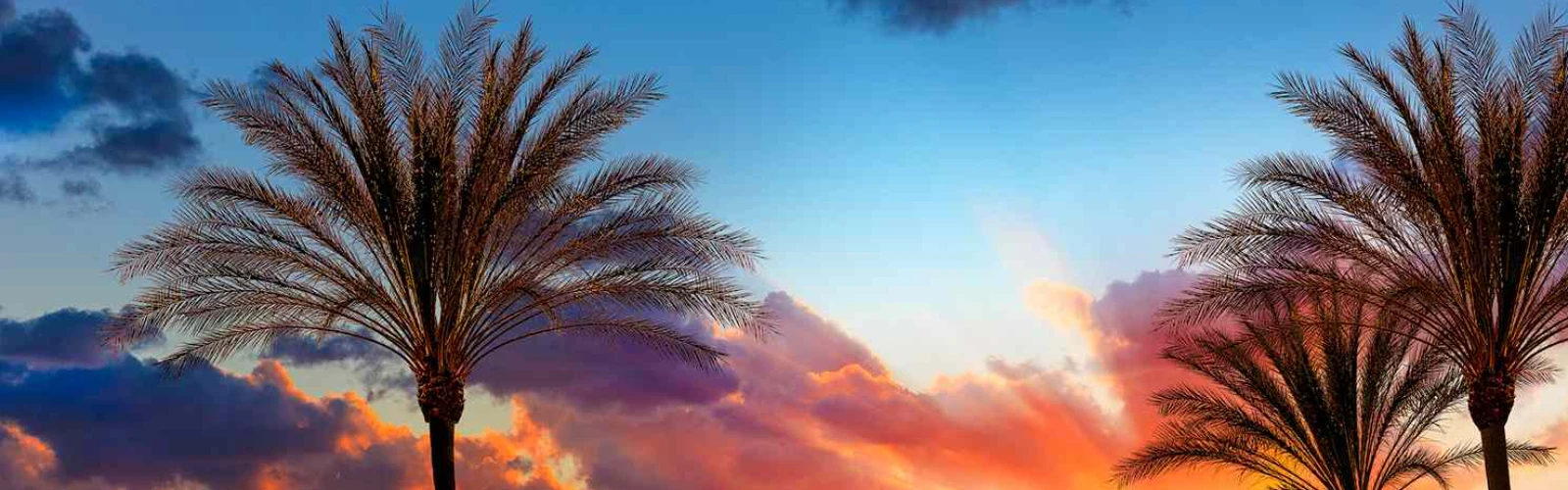 10 Best Things to Do After Dinner in San Diego