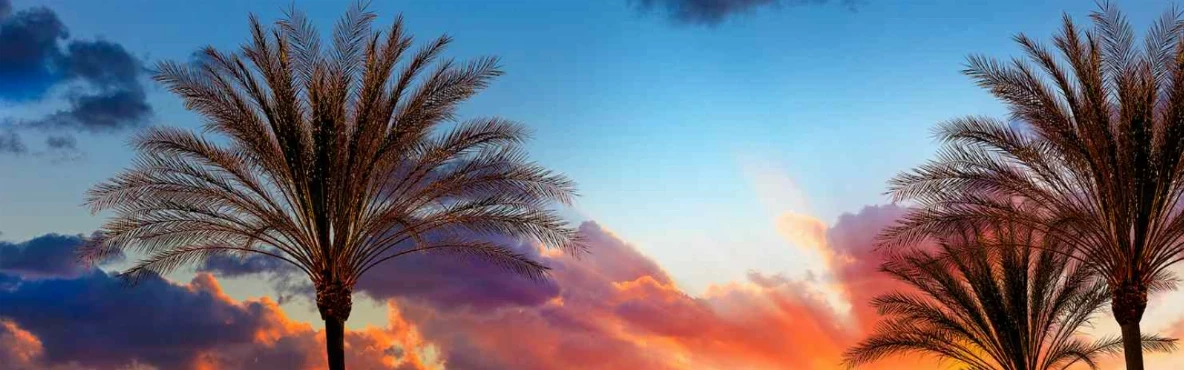 10 Best Things to Do After Dinner in San Diego