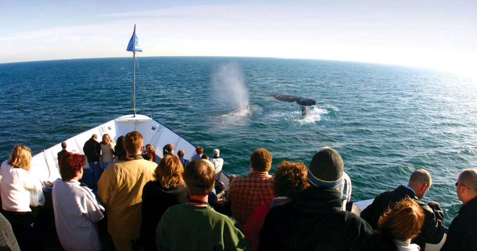 7 Best Things to Do This Winter in San Diego