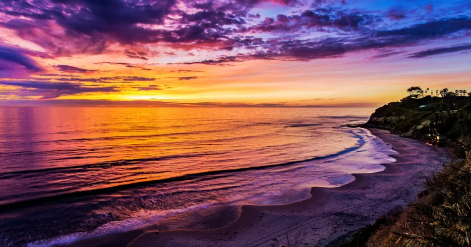 7 Best Things to Do This Winter in San Diego