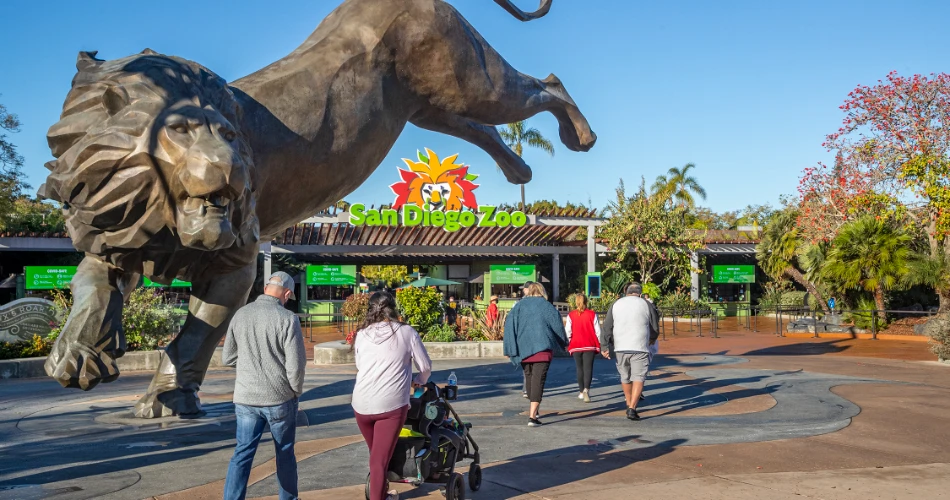 7 Best Things to Do This Winter in San Diego