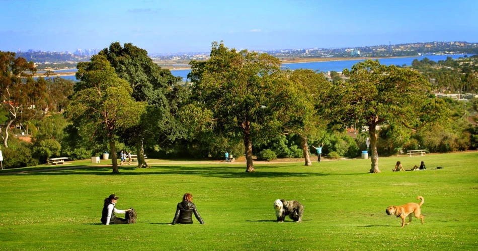 10 Best Places to Watch the Sunset in San Diego