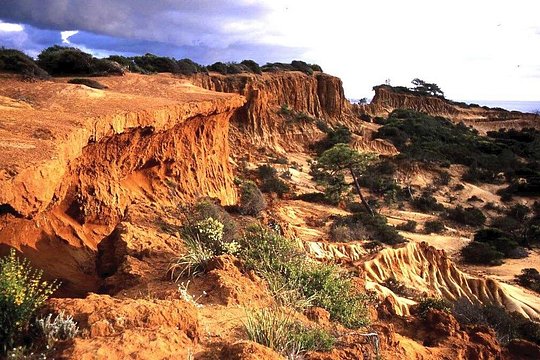 Tour image 9